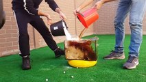 Experiment Fish vs 1000 Mentos vs Coca Cola Under Water!