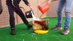 Experiment Fish vs 1000 Mentos vs Coca Cola Under Water!