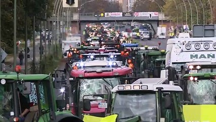 Bauern demonstrieren gegen Agrarpolitik