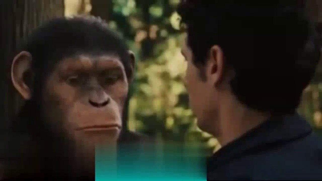 Dhanteras Special Status 30 Second Whatsapp Status Happy Dhanteras