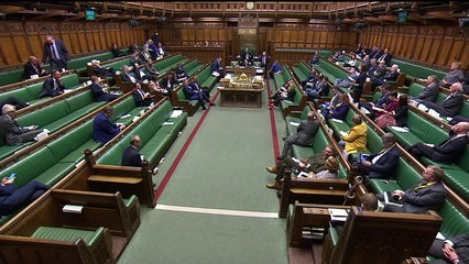 Swinson: I will never give up trying to stop Brexit