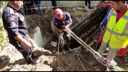 Kuyuya düşen dana vinçle kurtarıldı - BURSA