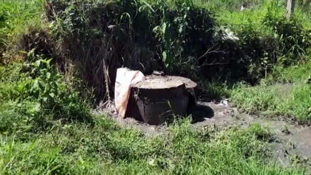 Homem denuncia vazamento de esgoto na Estrada São Brás