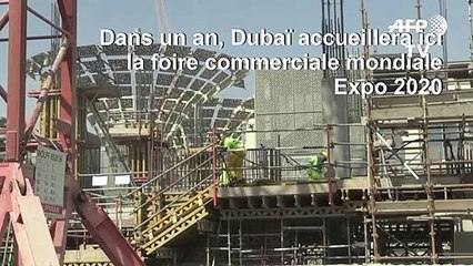 Le vaste chantier de l'Expo 2020 de Dubaï s'élève dans le désert