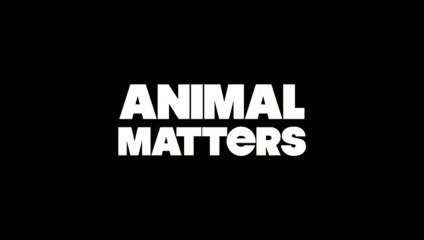 ASSUNTOS ANIMAIS - ANIMAL MATTERS