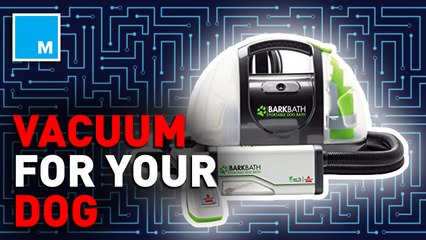 Would you vacuum your dog? — Future Blink