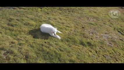 Ilhas reveladas pelo gelo