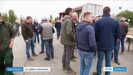 Agriculteurs : la colère des campagnes descend dans la ville