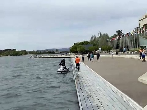 Ce kangourou est sauvé de la noyade mais décide de replonger dans l'eau !