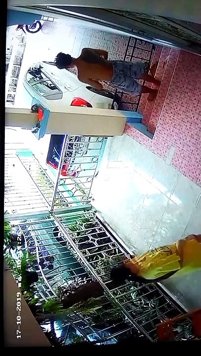 Dog Pulls Owner's Pants Down As He is Holding Baby