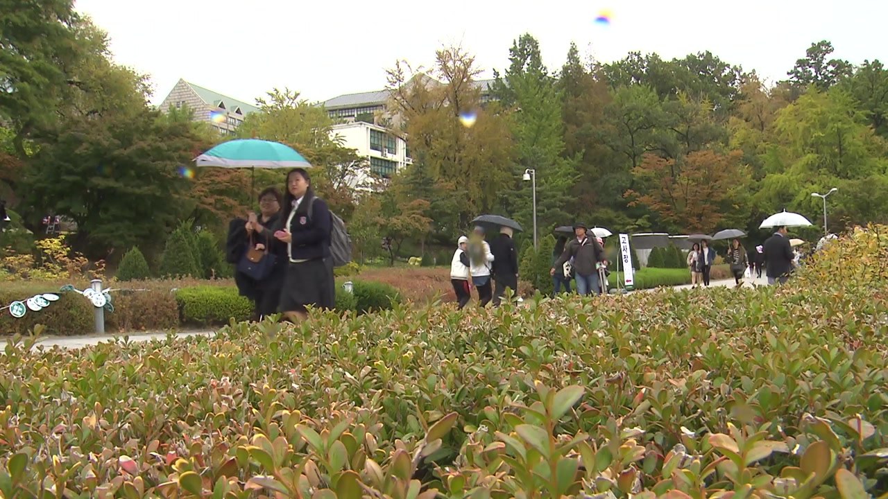 [날씨] 구름 많고 공기 깨끗...제주·영남 해안 비 / YTN