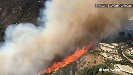 Aerial view of the Palisades Fire