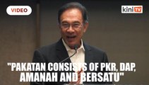 Bersatu is an important component in Pakatan Harapan, says Anwar on Liu's remarks