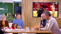 Pierre Arditi et Éric Dupond-Moretti défendent les corridas: 