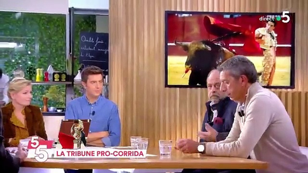 Pierre Arditi et Éric Dupond-Moretti défendent les corridas: "Le sang des taureaux ce n'est pas comme le sang humain !"