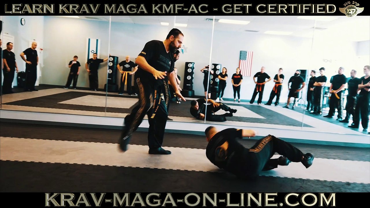 Krav Maga America Annual Course 2019 Expert Alain Cohen krav-maga-on-line.com
