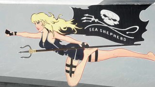 Sea Shepherd: Beschützer der Ozeane