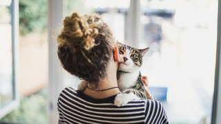 Verhaltensweisen, die beweisen, dass deine Katze dich liebt