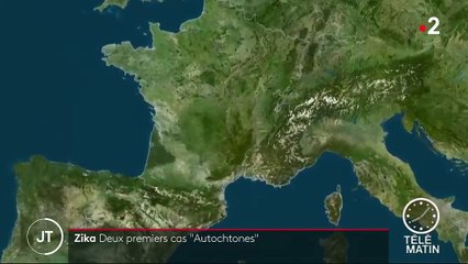 Santé : deux premiers cas "autochtones" du virus Zika dans le Var