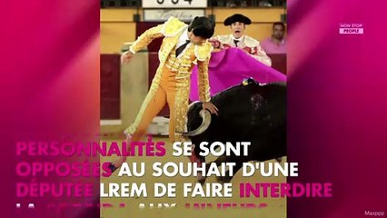 Pierre Arditi lynché sur la Toile après ses propos sur la corrida
