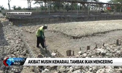 Musim Kemarau, Warga Berjalan Kaki Mencari Air
