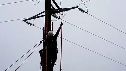 Bezange-la-Petite : les équipes d'Enedis retirent un nid de corneille posé sur des câbles 20000 volts