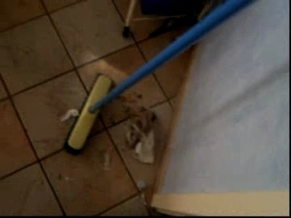 Mon aniv lendemain matin