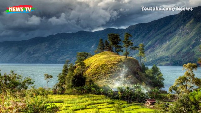 Hòn đảo đột nhiên bị cả một đội quân lợn rừng xâm chiếm