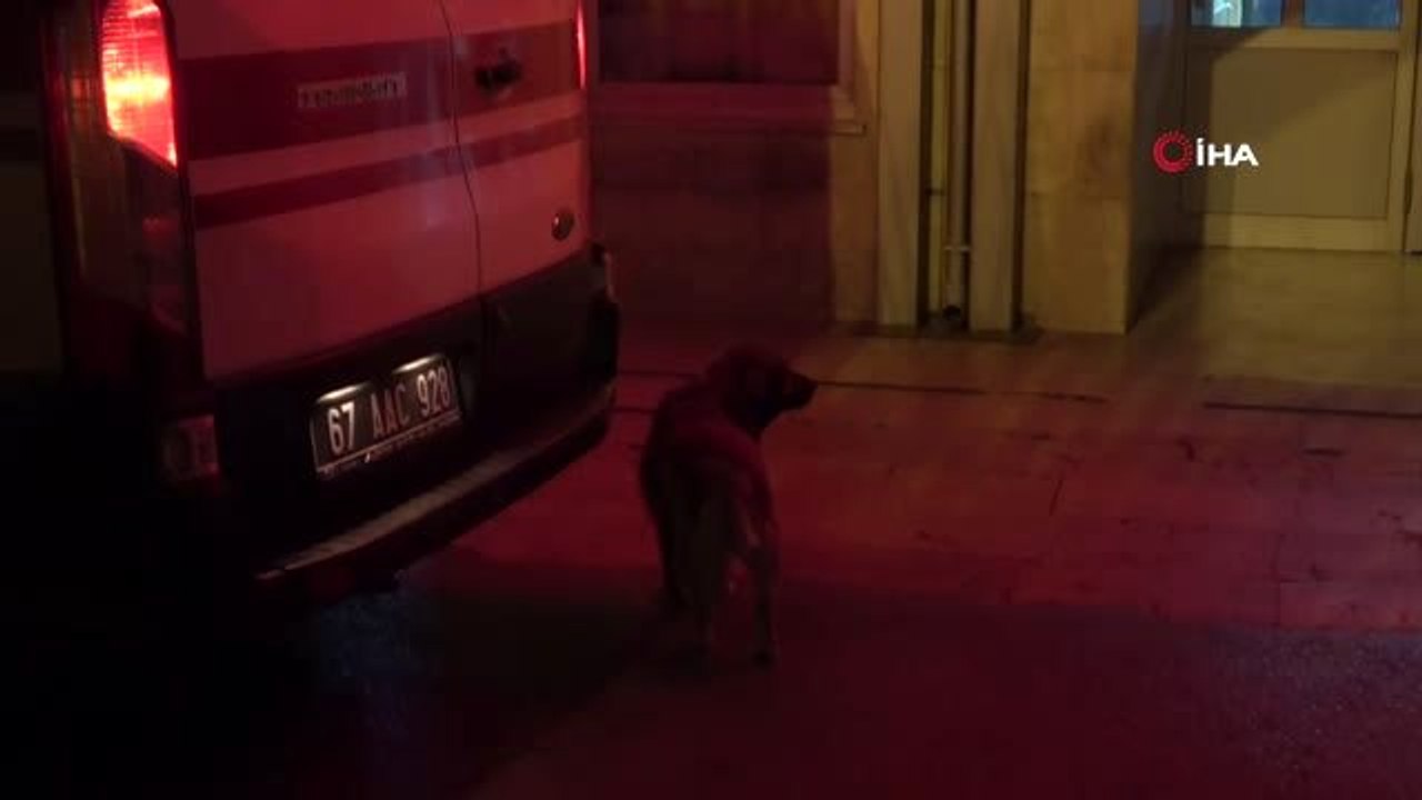 Türkiye onların dostluğunu İHA sayesinde tanıdı