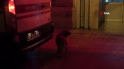 Türkiye onların dostluğunu İHA sayesinde tanıdı