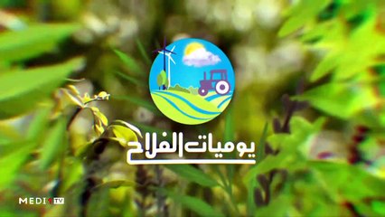 يوميات الفلاح - 23/10/2019