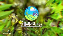 يوميات الفلاح - 23/10/2019