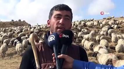 Göçerlerin zorlu yolculuğu