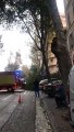 Marseille : chute d'un arbre avenue de la Corse, la circulation bloquée dans les deux sens