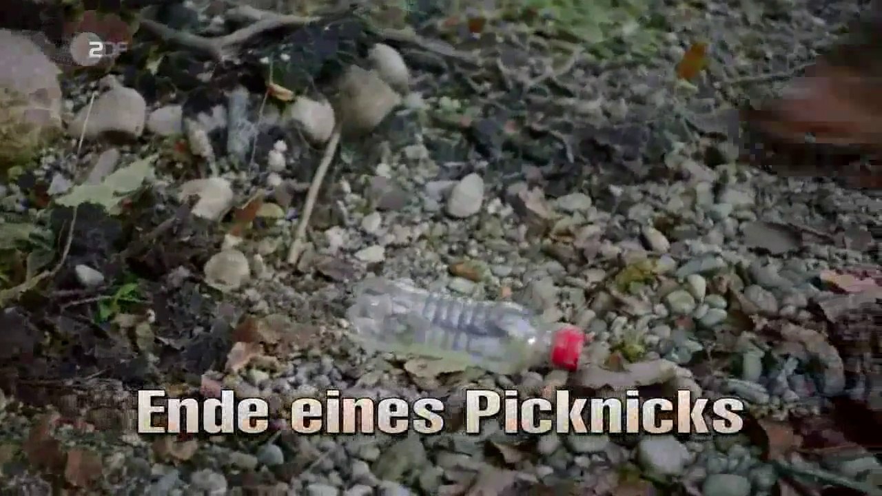 Die Rosenheim-Cops (433) Staffel 19 Folge 4 - Ende eines Picknicks