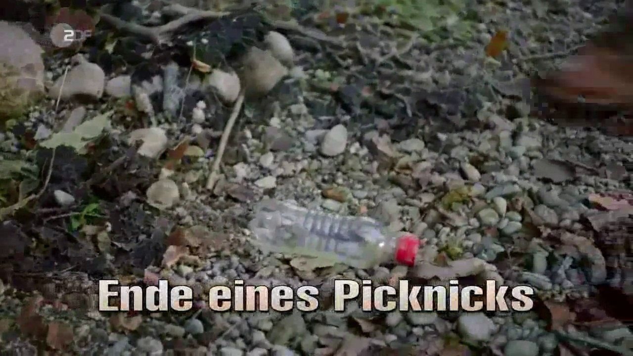 Die rosenheim-cops (433) staffel 19 folge 4 - ende eines picknicks