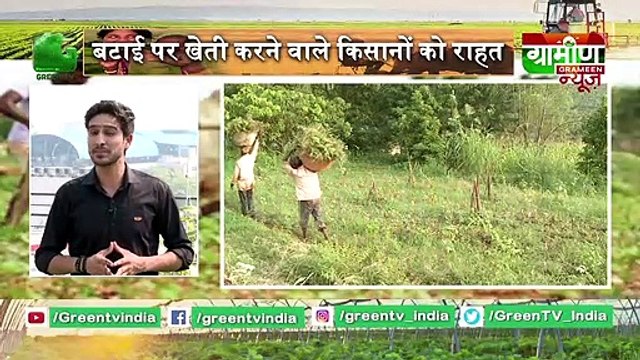 Kisan Bulletin : गाये की खरीददारी पर मिलेंगे 25k | Kisan Samachar : Grameen News