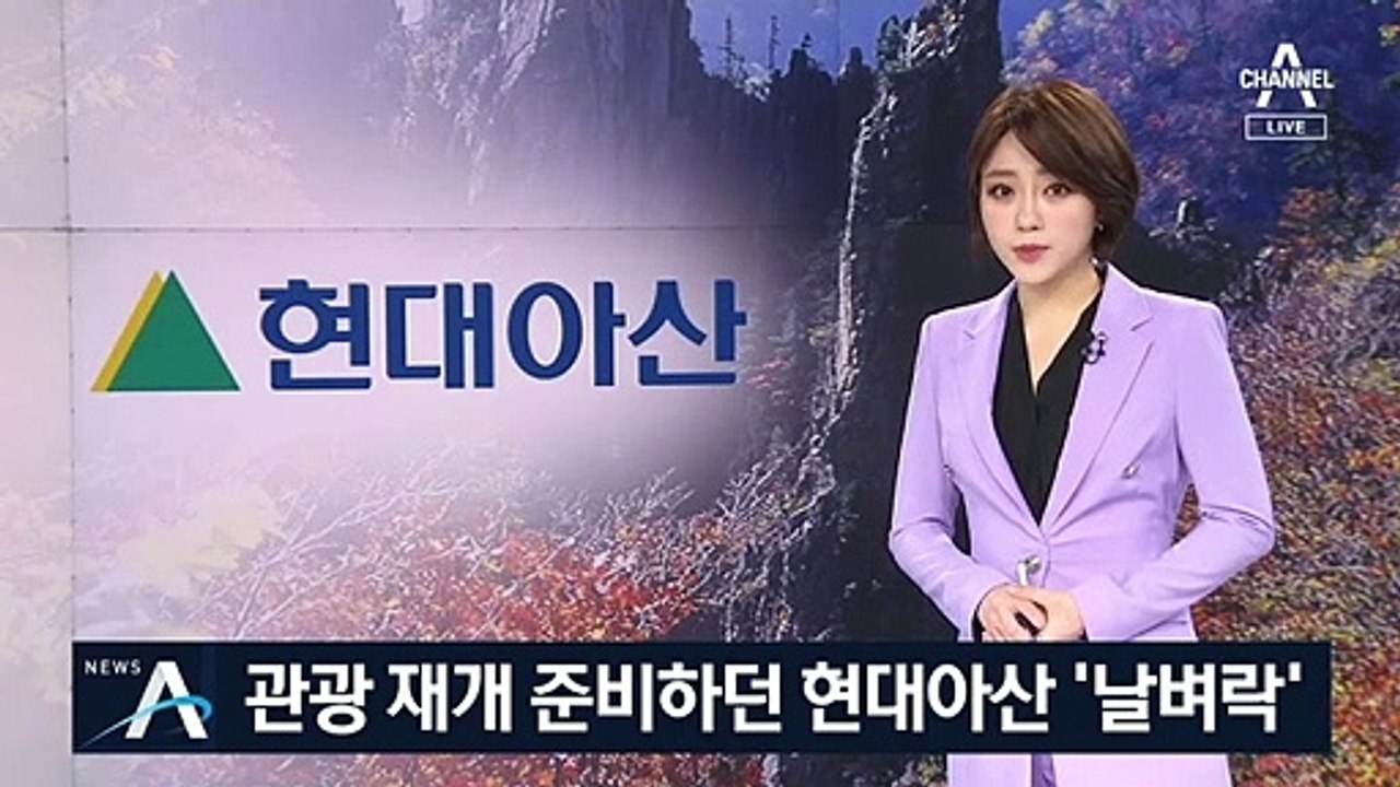 350억 마련한 현대아산…금강산 관광 준비하다 ‘날벼락’