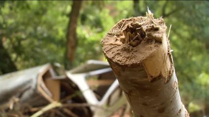 Imágenes de la caravana arrastrada por la corriente en Vilaverd, Tarragona
