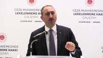 Gül: 'ABD ve Rusya ile yapılan görüşmeler diplomasi zaferiyle sonuçlanmıştır' - ANKARA