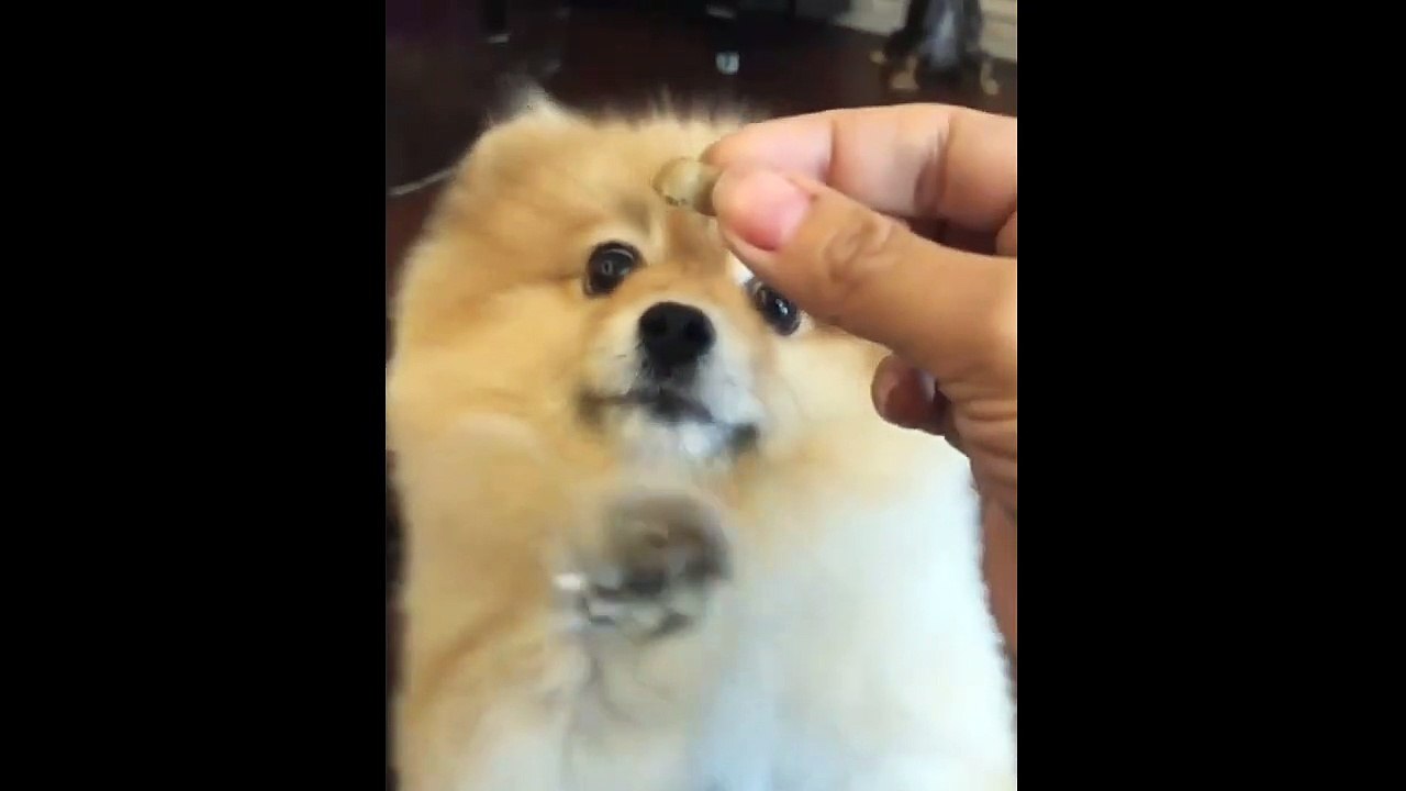 Give It To Me! 