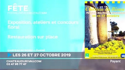 L'agenda du week-end - 26 et 27 octobre 2019