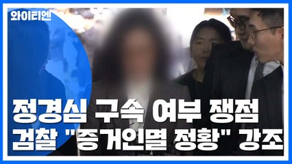 정경심, 구속 여부 가를 핵심 쟁점은? / YTN