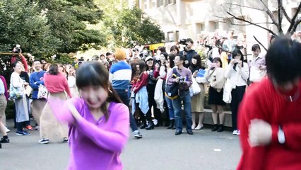 【早稲田祭2018】母娘の気持ちの架け橋に！！娘さんからお母様へ向けての感謝モブ！