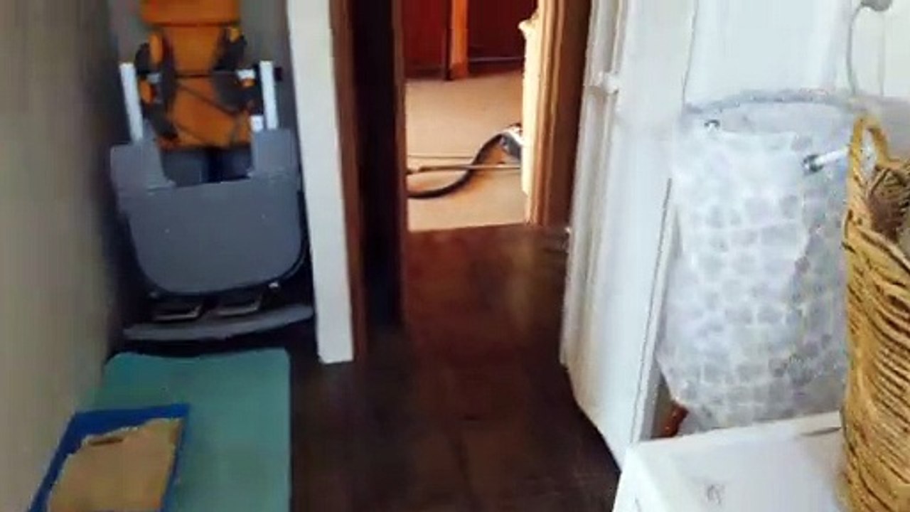 Bathroom Surrendered to Spider