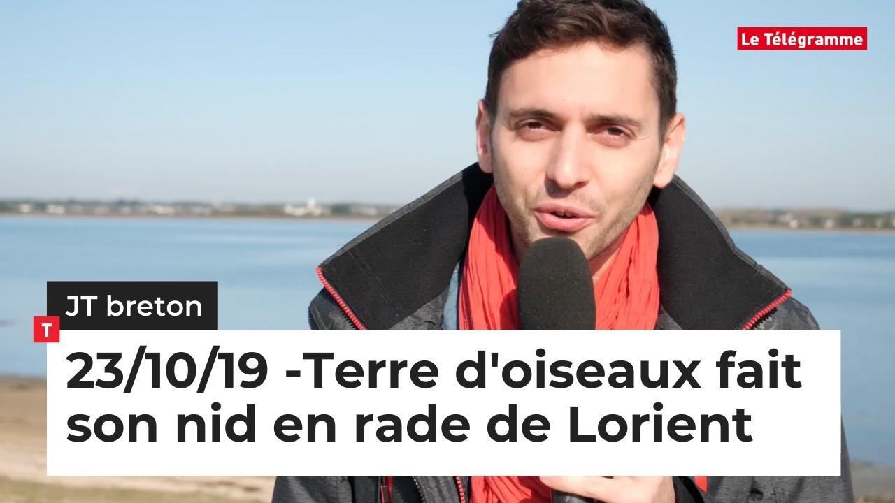 JT Breton du mercredi 23 octobre 2019. Terre d'oiseaux fait son nid en rade de Lorient