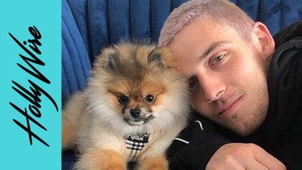 Lauv's Dog Billie Is His Wingman And Talks BTS (방탄소년단) 'Make It Right!