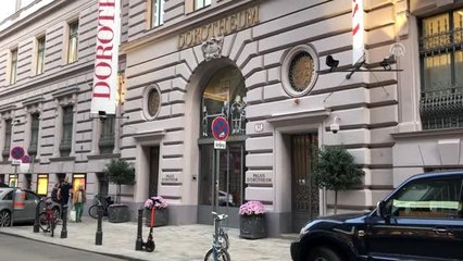 "İstanbul Hanımefendisi" Avusturya'da "rekor" fiyata alıcı buldu