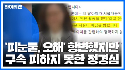 정경심, '피눈물, 오해' 항변했지만 구속 피하지 못해 / YTN