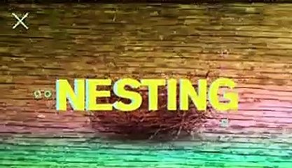 NESTING: YAEL AFLALO, FOUNDER OF REFORMATION + NOM DE PLUME BY YAYA